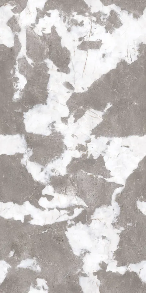 CAMEL ONYX ICE view 4